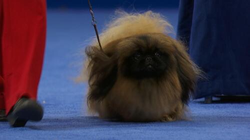 成功案例十四